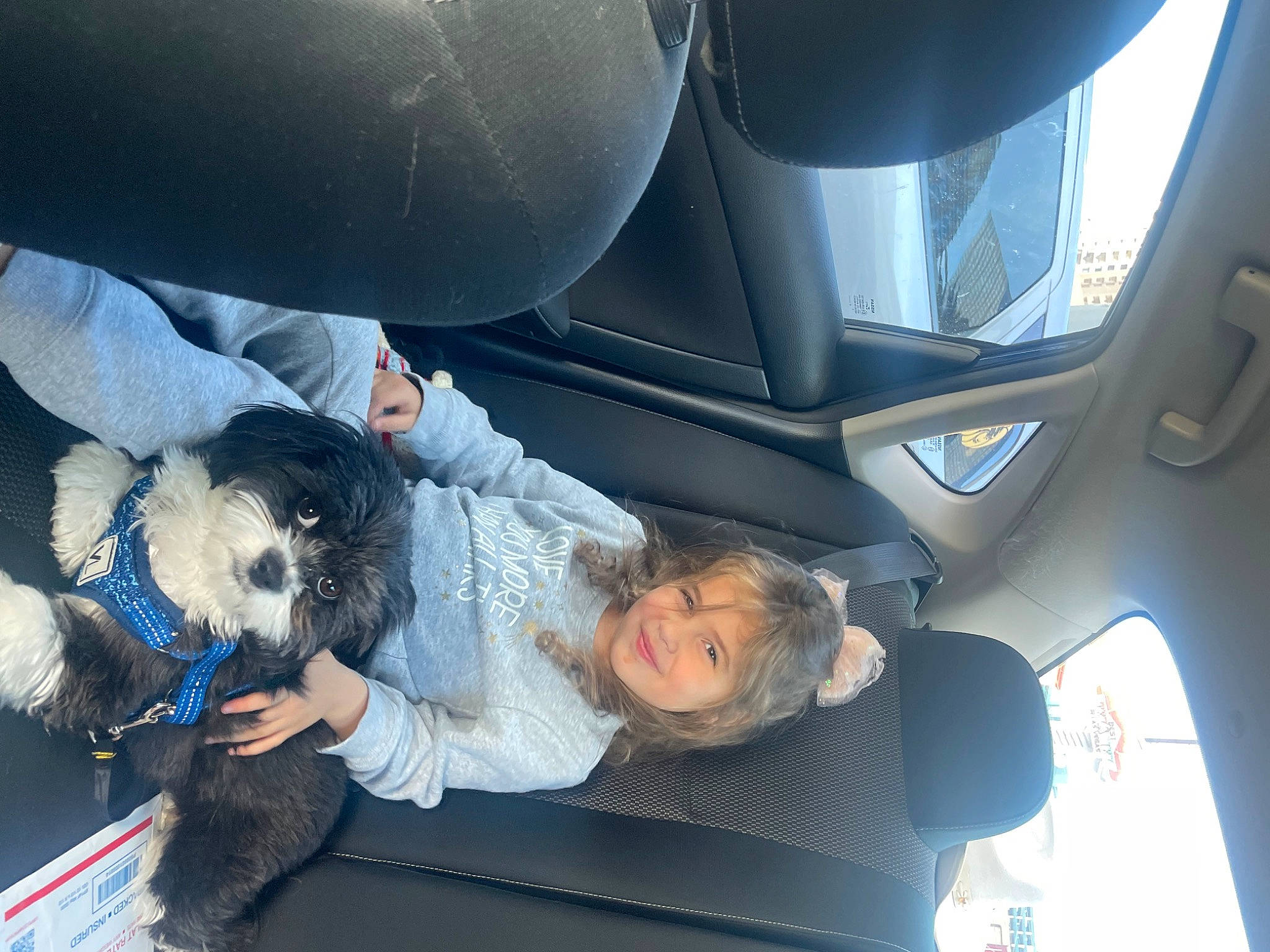 Aliya is registered to the contest to win money with this photo: auto_part, automotive_design, automotive_exterior, car, car_seat, car_seat_cover, comfort, dog, family_car, head_restraint, joy, mode_of_transport, motor_vehicle, passenger, person, personal_luxury_car, seat_belt, steering_part, steering_wheel, vehicle