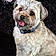 Rosco