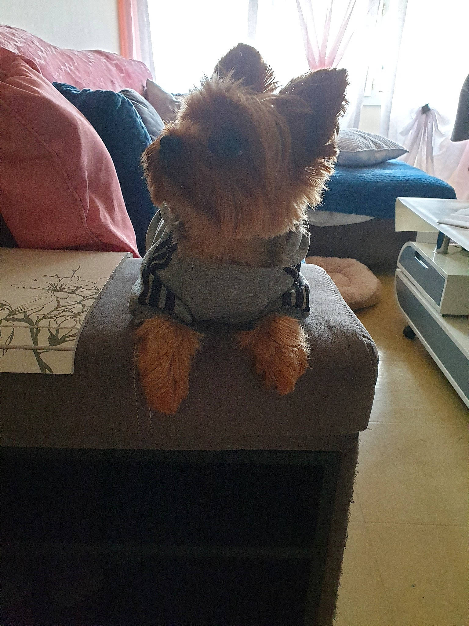 Junior