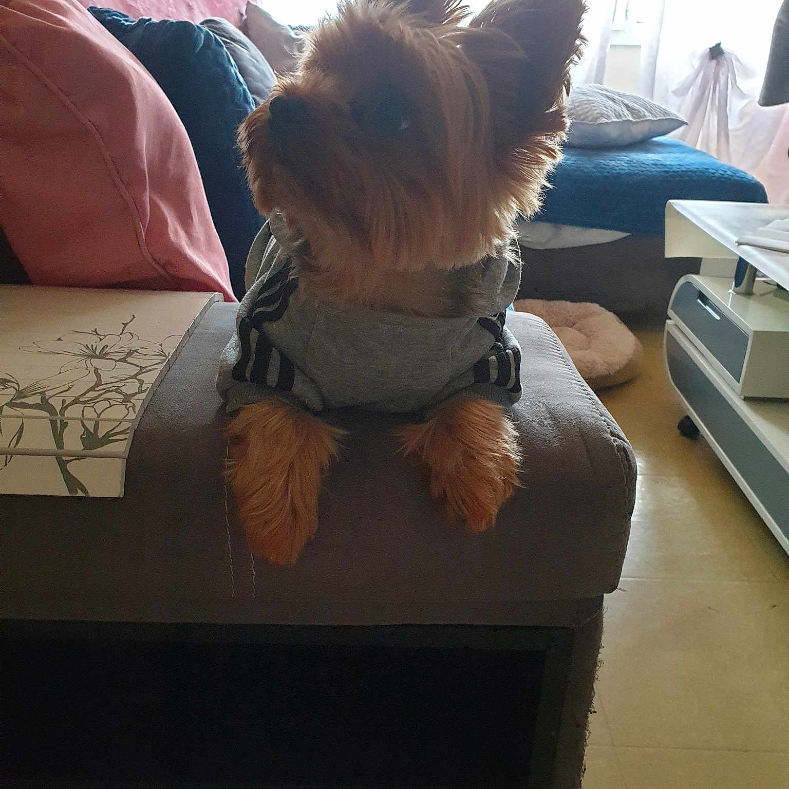 Junior