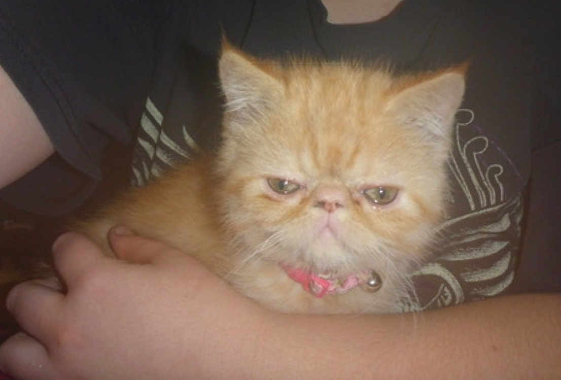 Puffy