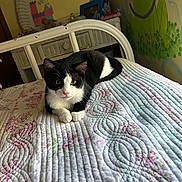 Wheezer joined the competition — help win amazing prizes! bed, bedroom, black_and_white, cat, cozy, domestic_cat, dresser, floral_pattern, frog_mural, headboard, indoor, mirror, mural, paws, pet, quilt, resting, tuxedo_cat, vintage_bed, whiskers