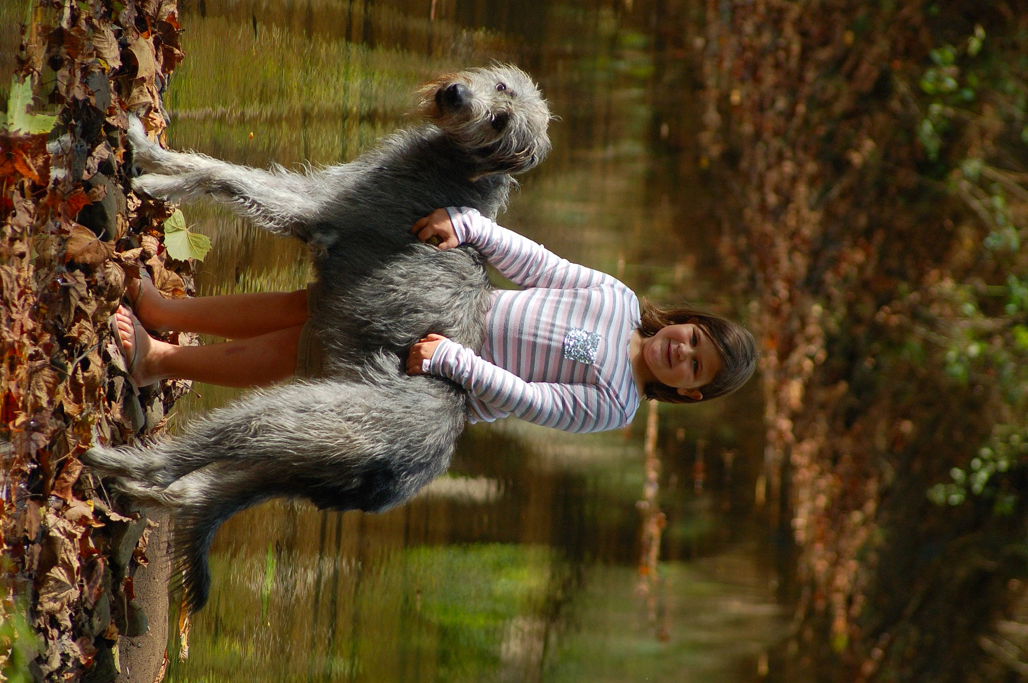 Harley Quinn joined the competition — help win amazing prizes! canidae, companion_dog, dog_breed, forest, fun, grass, happy, hunting_dog, jungle, leisure, people_in_nature, plant, recreation, sporting_group, tail, tree, trunk, water, wetland, wildlife