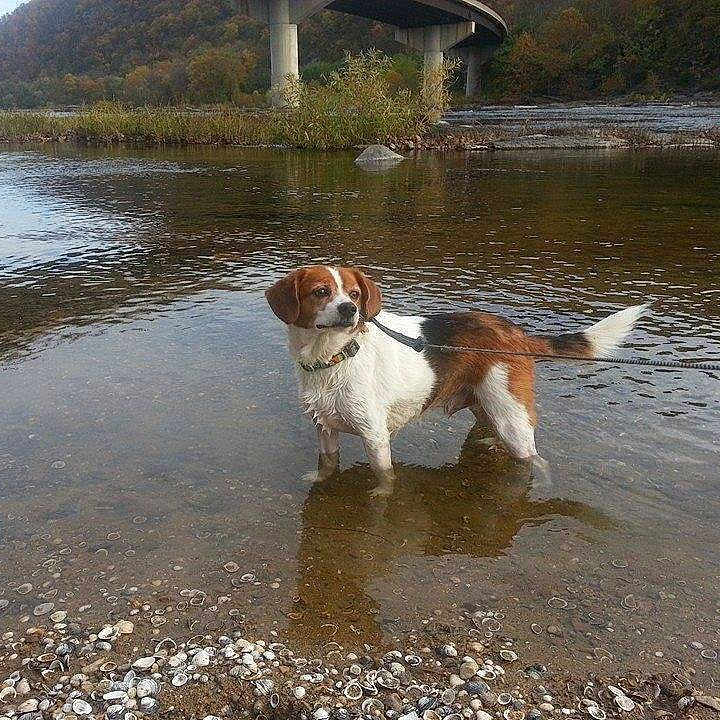 Charlie is registered to the contest to win money with this photo:
