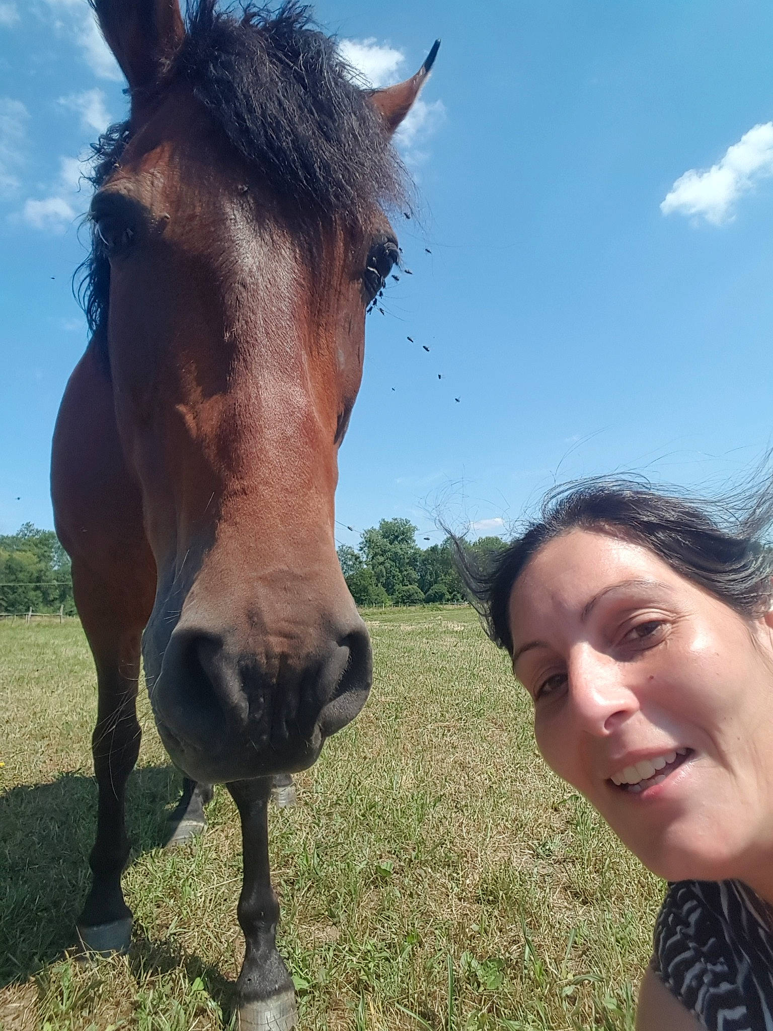 Colon a rejoint le concours — aidez-le/la à gagner de superbes lots ! bridle, girl, grass, horse, horse_like_mammal, horse_supplies, horse_tack, joy, livestock, mane, mare, mustang_horse, neck, pack_animal, pasture, person, pony, sky, snout, stallion
