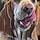 Lola