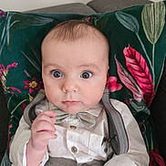 Jason is registered to the contest to win money with this photo: baby, child, face, blue_eyes, bow_tie, suspenders, shirt, couch, pillow, floral_pattern, hand, expression, portrait, indoor, cute, infant, clothing, sitting, person, young