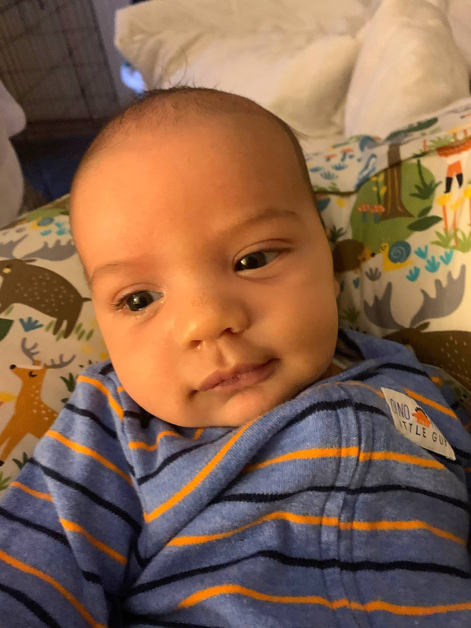 Zavier is registered to the contest to win money with this photo: baby, cheek, child, chin, ear, eye, face, forehead, head, iris, lip, mouth, nose, person, skin, smile, toddler