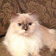 Morgan is registered to the contest to win money with this photo: