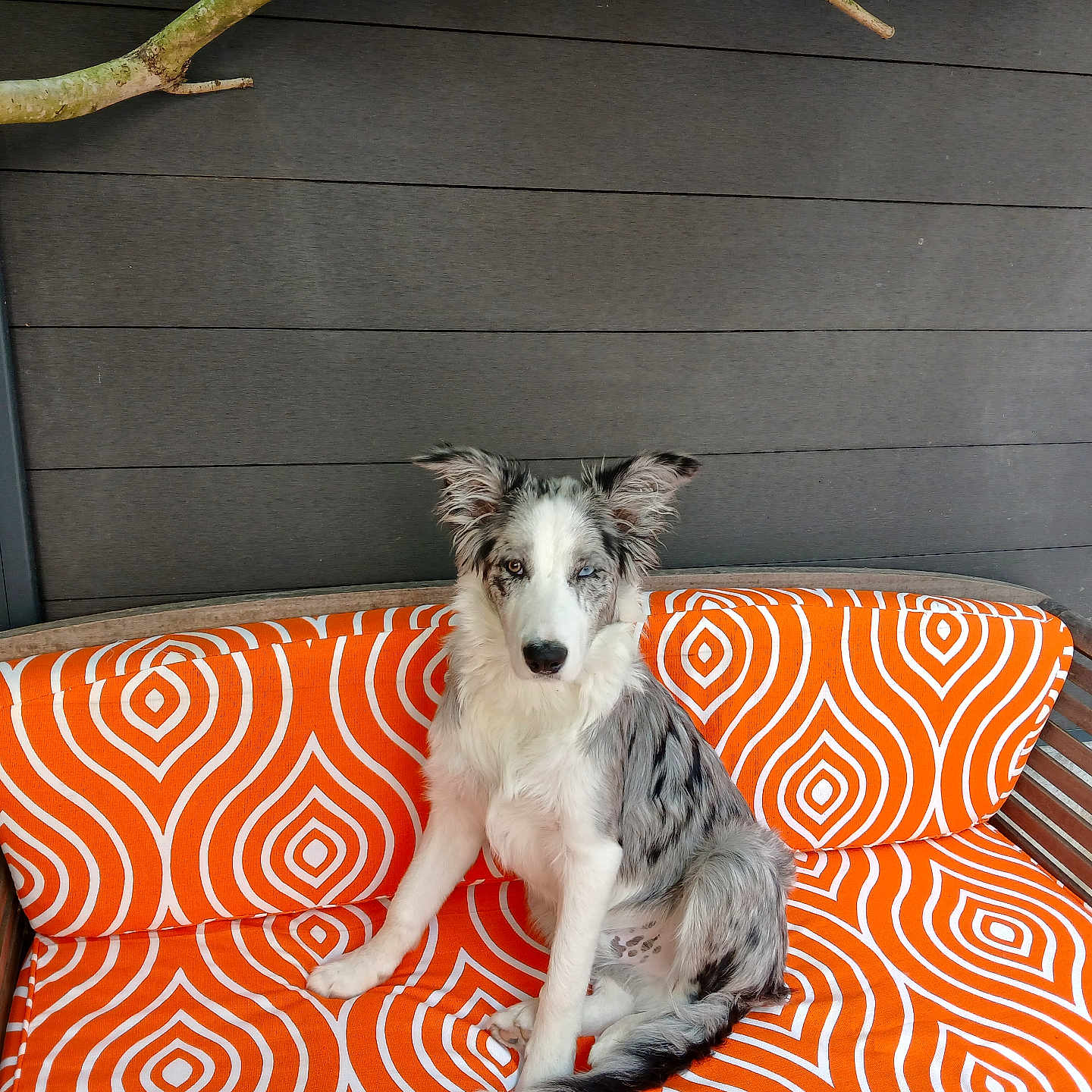 Berlioz