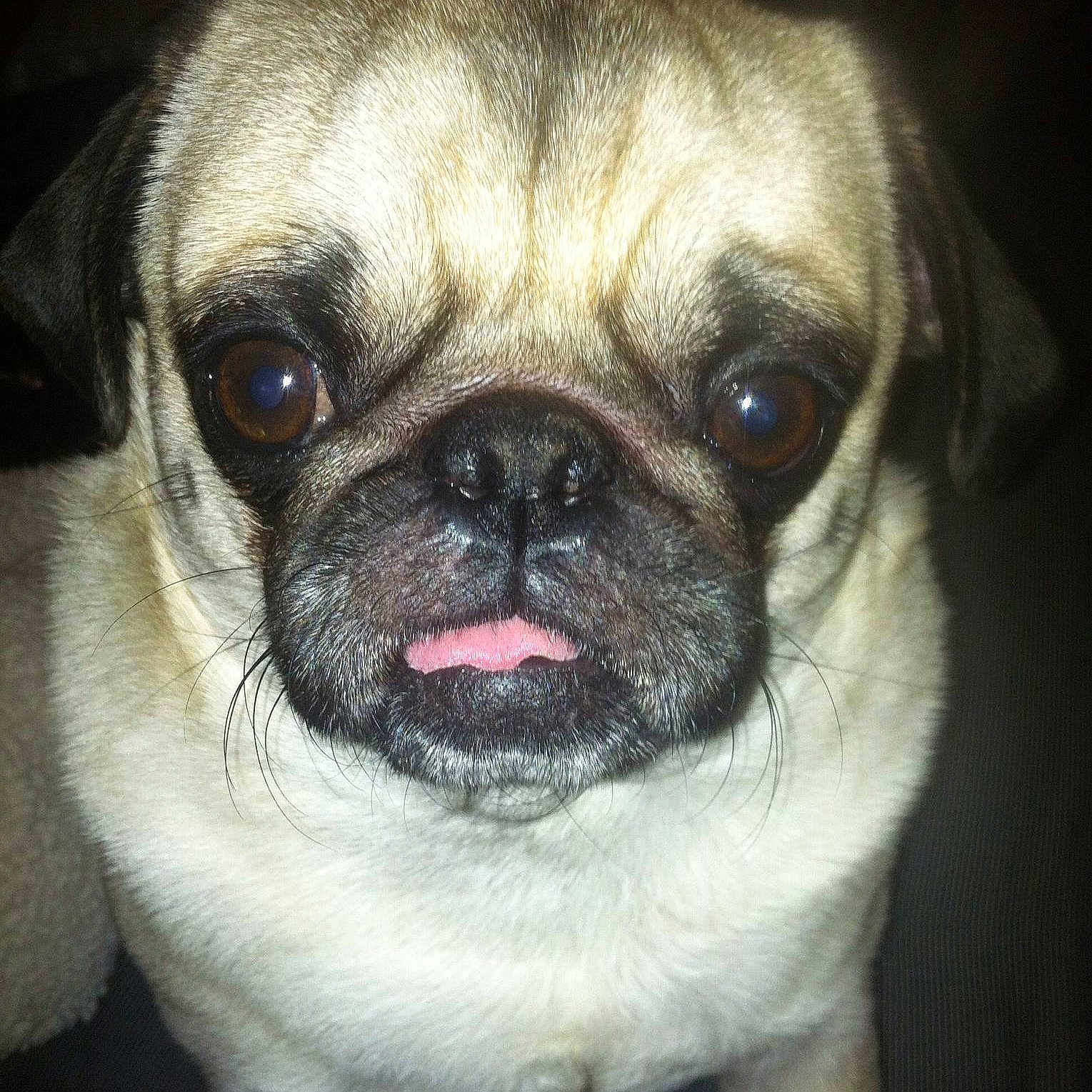 Hammond joined the competition — help win amazing prizes!