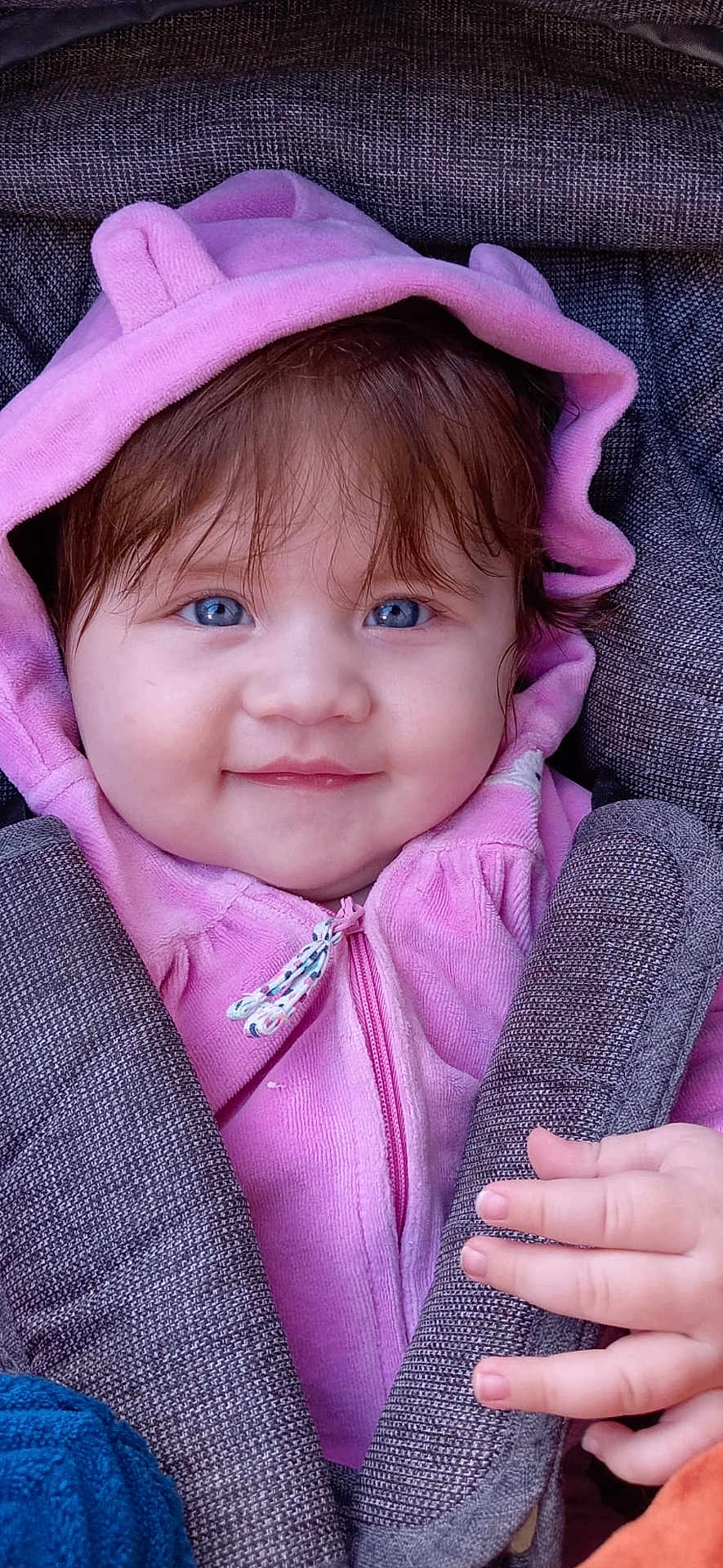 Charlie participe au concours pour gagner de l'argent avec cette photo : baby, child, hoodie, pink_clothing, blue_eyes, smile, hand, car_seat, fabric, texture, face, infant, cute, portrait, young_child, clothing, seatbelt, baby_clothes, expression, closeup