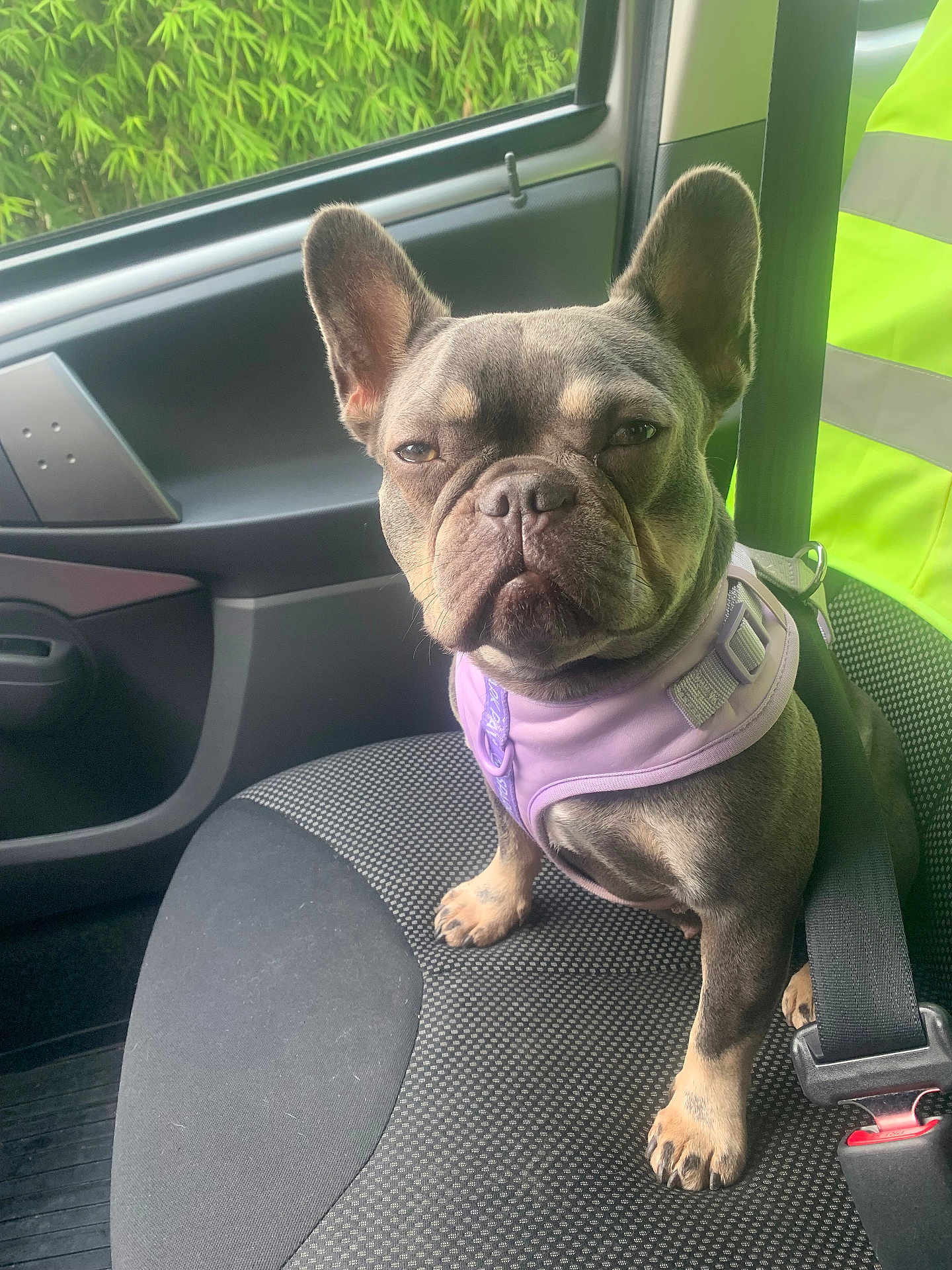 Roxie