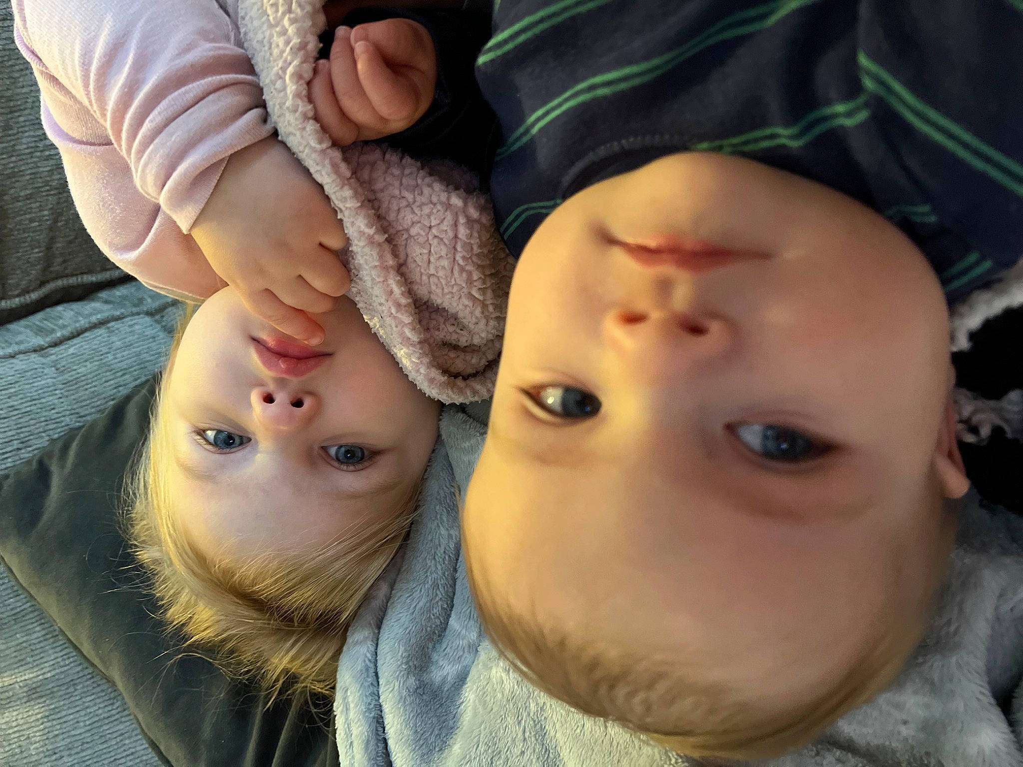 Cody joined the competition — help win amazing prizes! cap, cheek, chin, eye, eyebrow, eyelash, facial_expression, forehead, gesture, happy, head, human_body, interaction, iris, lip, mouth, nose, person, plant, skin