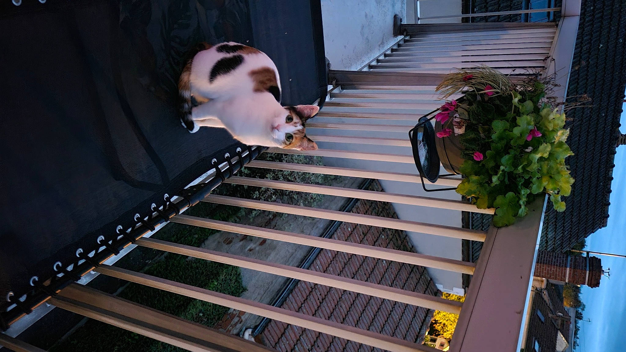 Lila a rejoint le concours — aidez-le/la à gagner de superbes lots ! daylighting, flooring, flower, handrail, hardwood, metal, musical_instrument_accessory, pattern, plant, room, stairs, symmetry, wood