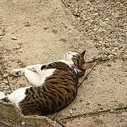 Lili a rejoint le concours — aidez-le/la à gagner de superbes lots !