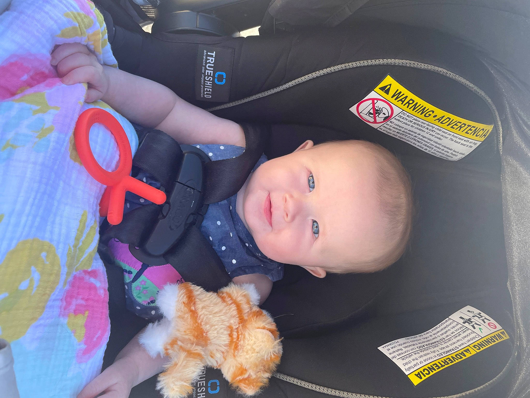 Scotland joined the competition — help win amazing prizes! baby, baby_carriage, baby_products, baby_safety, baby_toddler_clothing, baby_toys, car_seat, child, comfort, electric_blue, person, product, smile, stuffed_toy, teddy_bear, toddler, toy