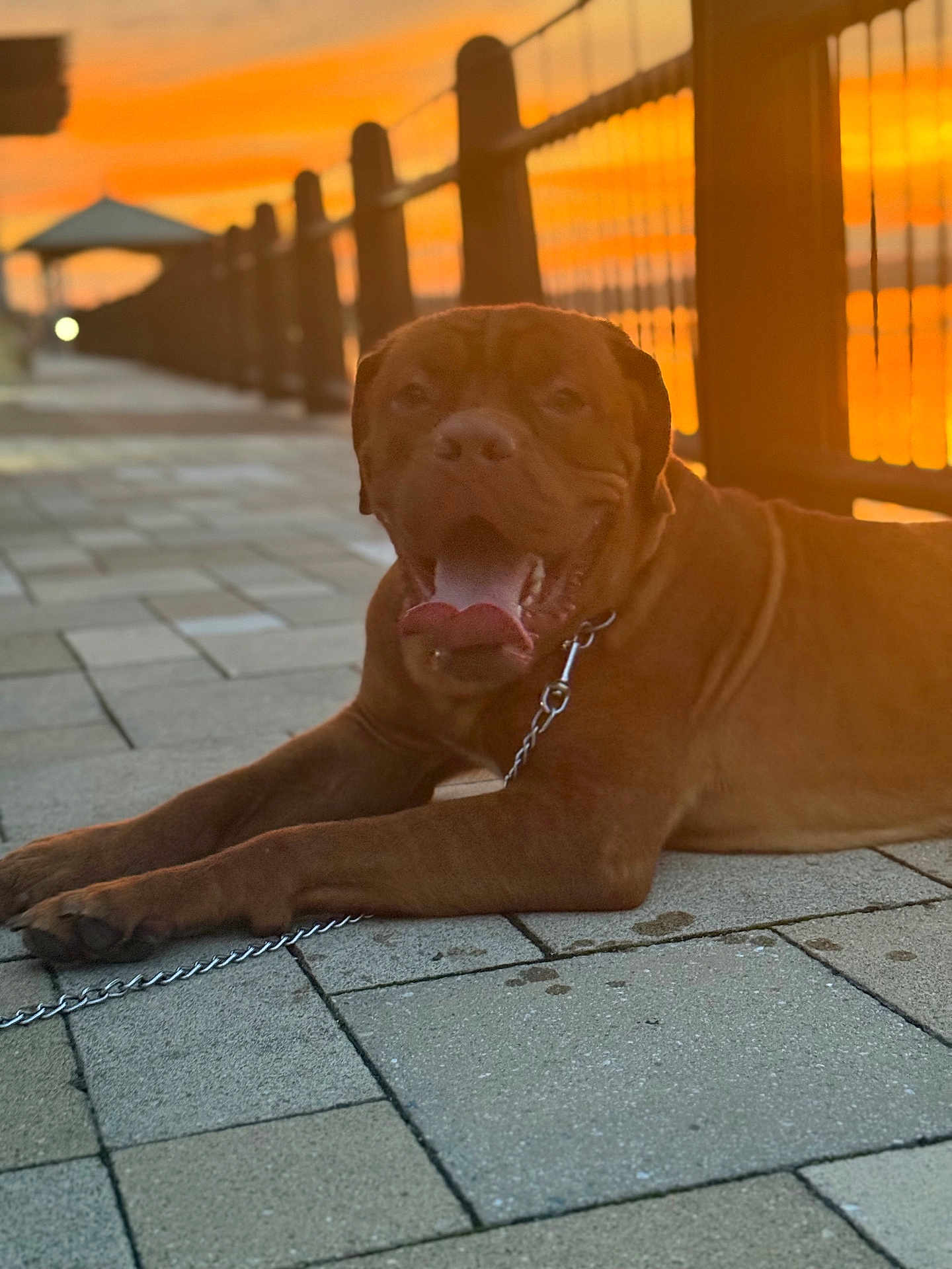 Canelo Torres