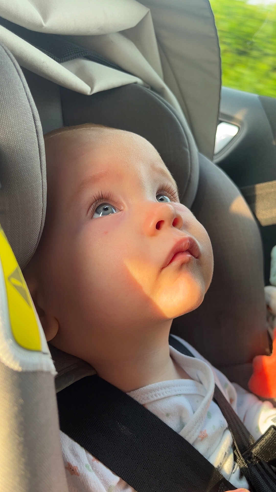 Thïlyo a rejoint le concours — aidez-le/la à gagner de superbes lots ! adorable, baby, blue_eyes, car_interior, car_seat, child, child_safety, close_up, cute, indoors, infant, infant_clothing, looking_up, portrait, safety, seat, seatbelt, strapped_in, sunlight, young_child