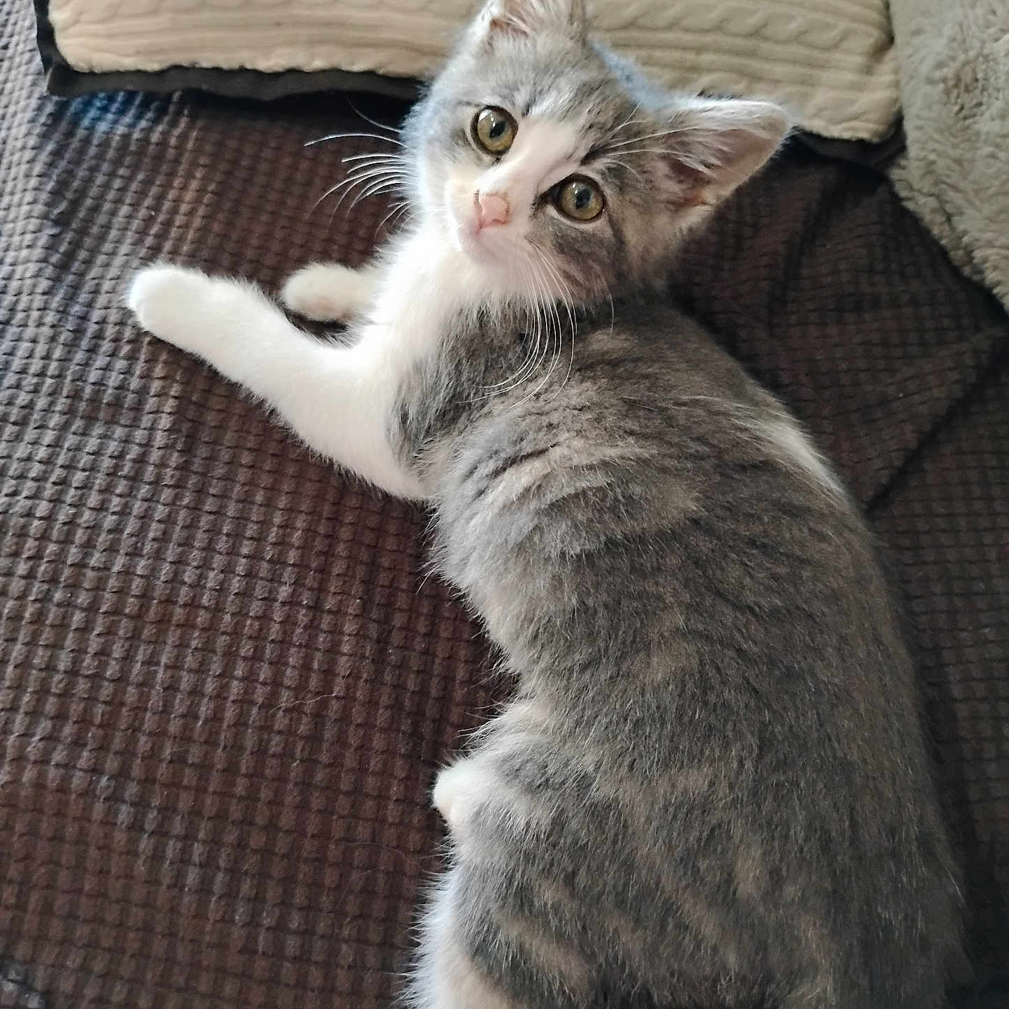 Chloe