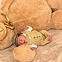 newborn, baby, teddy_bear, plush, sleeping, hat, beige, cute, soft, cozy, child, infant, clothing, bedroom, rest, portrait, toy, furniture, relaxation, home