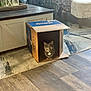 cat, cardboard_box, indoor, living_room, furniture, rug, wooden_floor, gray_cat, pet, home_decor, cozy, curious, sitting, animal, domestic_cat, box, yellow_eyes, soft_lighting, patterned_cushion, wooden_table