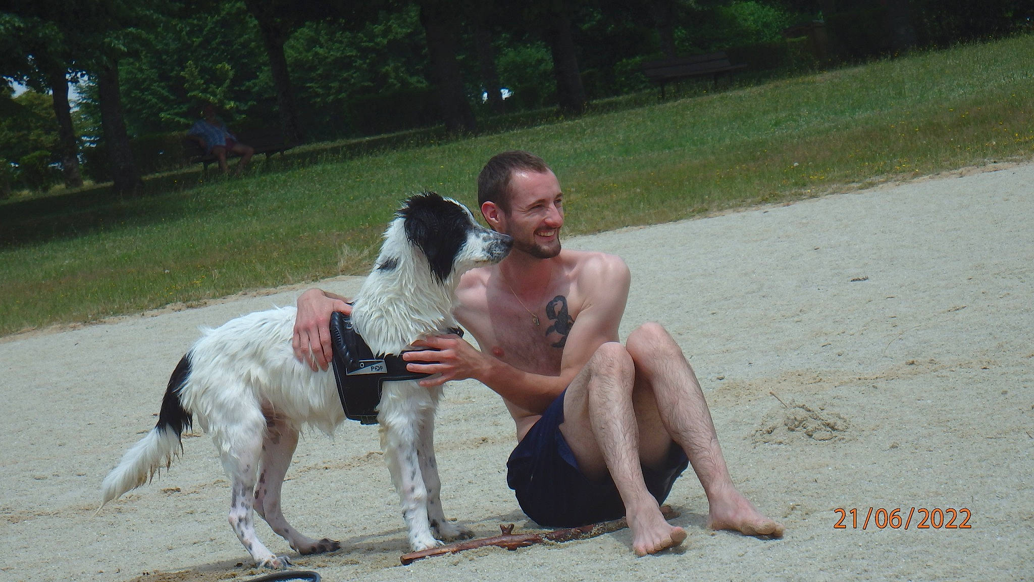 Taiko a rejoint le concours — aidez-le/la à gagner de superbes lots ! barechested, barefoot, canidae, carnivore, chest, companion_dog, dog, dog_breed, dog_supply, event, fawn, fun, leash, leisure, recreation, smile, sporting_group, tail, tree, working_animal