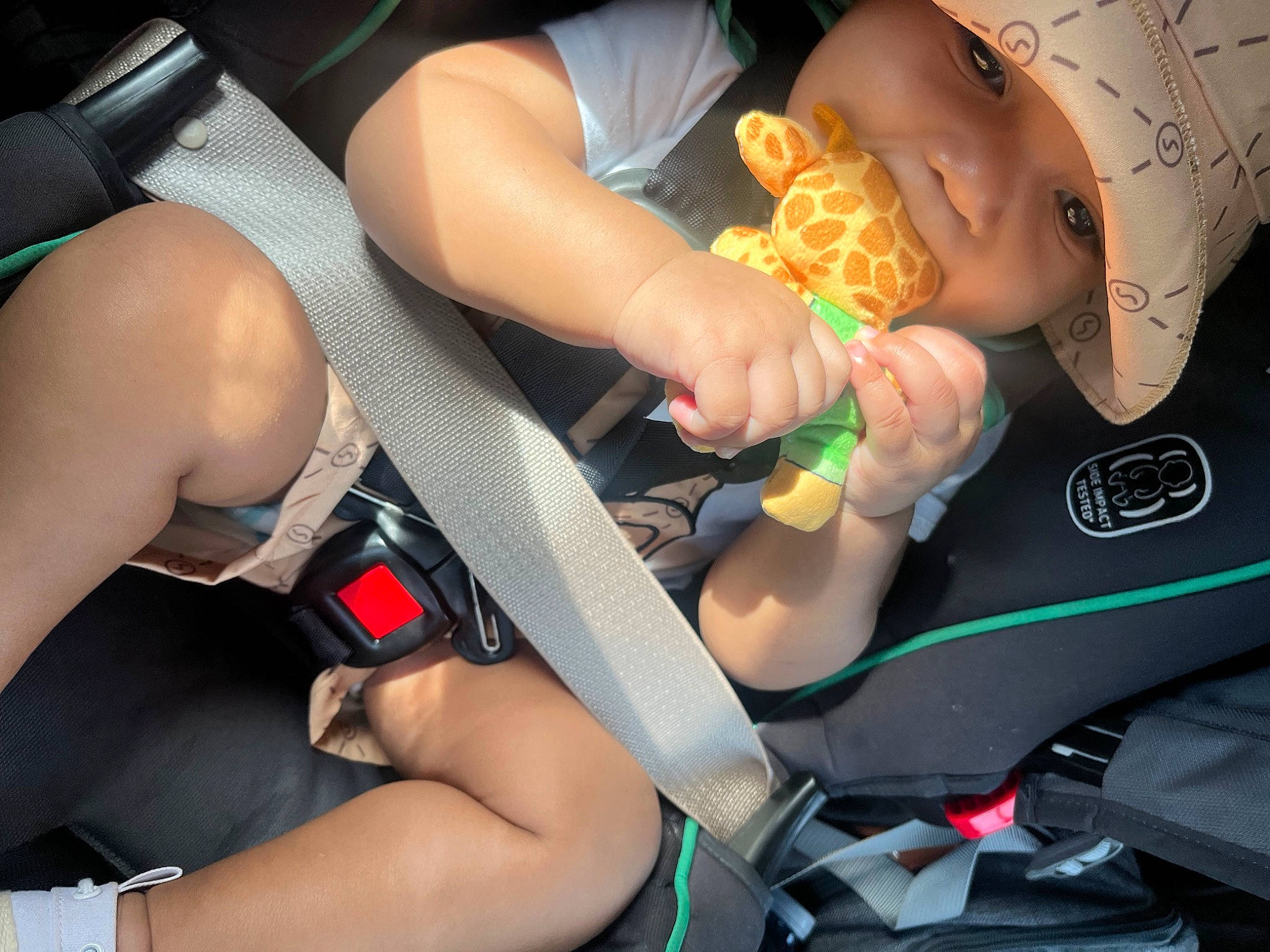 Jaylin joined the competition — help win amazing prizes! arm, car_seat, elbow, finger, fun, gesture, hand, headwear, human_leg, joint, knee, lap, leg, motor_vehicle, muscle, nail, person, seat_belt, shorts, thigh