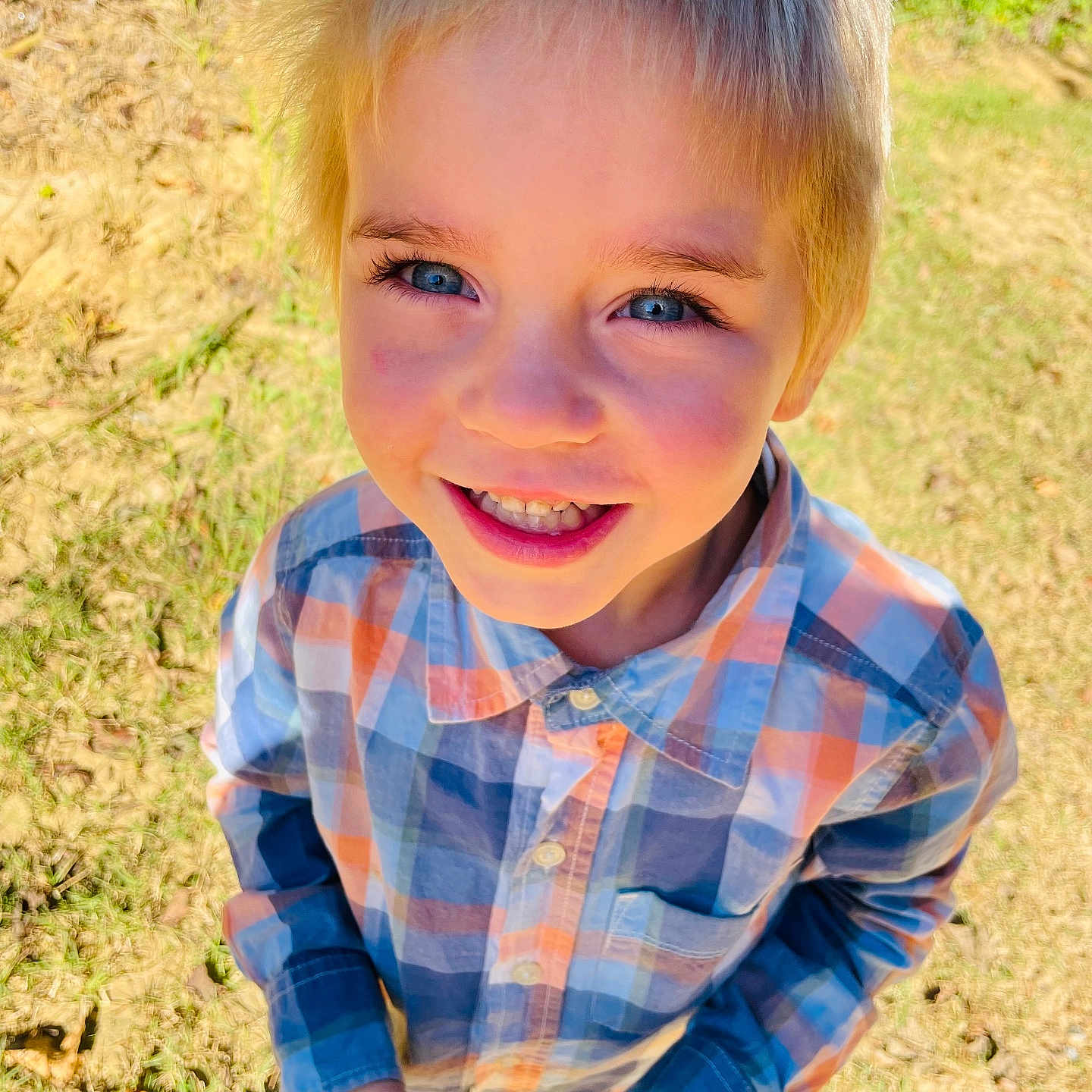Asher joined the competition — help win amazing prizes! blond_hair, blue_eyes, boy, casual_clothing, child, daylight, face, grass, hands, happy, nature, outdoor, person, pine_cone, plaid_shirt, playful, portrait, smiling, sunlight, young
