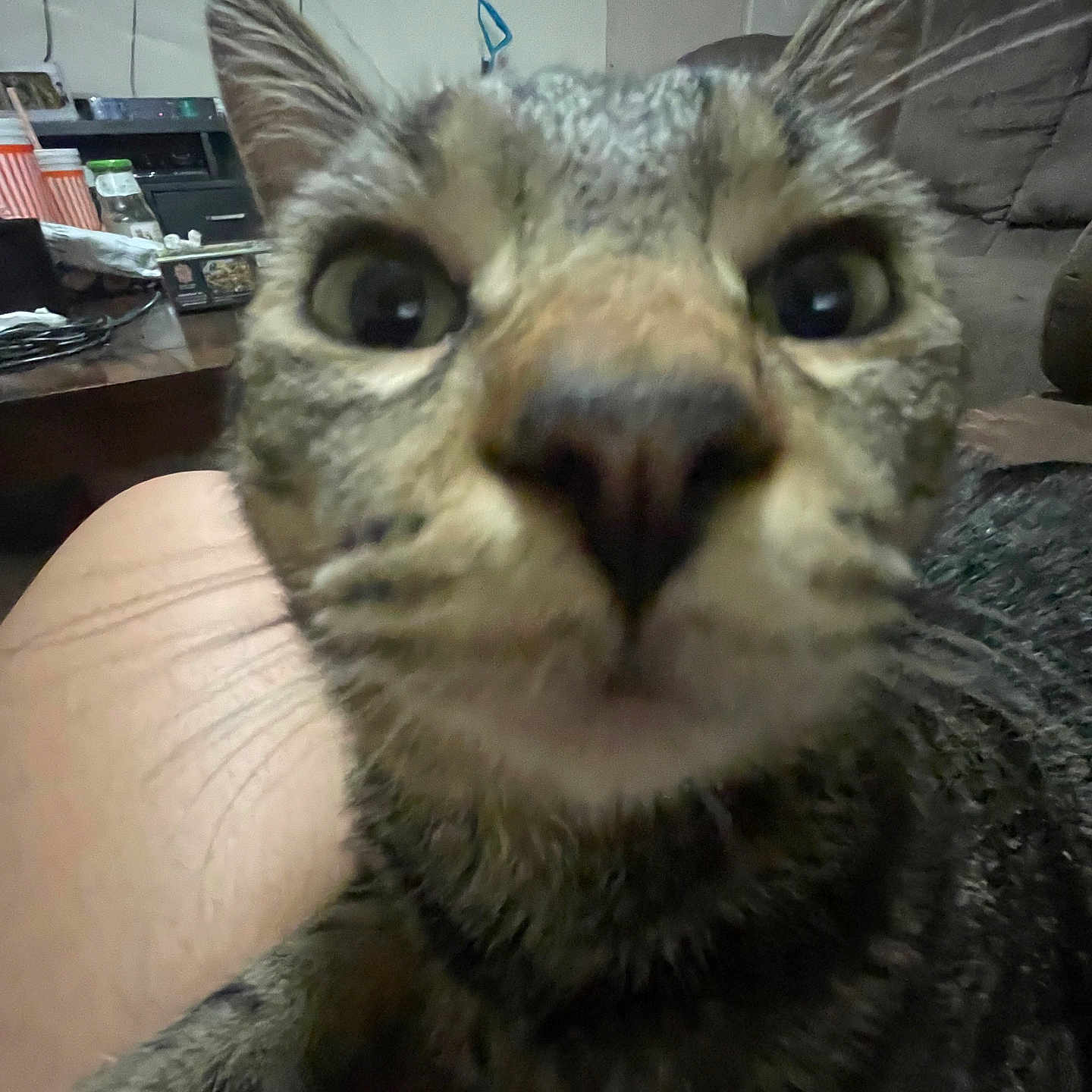 Omalley