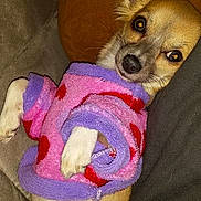 Princesse participe au concours pour gagner de l'argent avec cette photo :