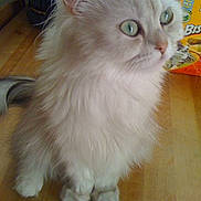 Perle participe au concours pour gagner de l'argent avec cette photo :