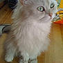 Perle participe au concours pour gagner de l'argent avec cette photo :