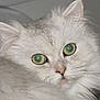 Perle participe au concours pour gagner de l'argent avec cette photo :