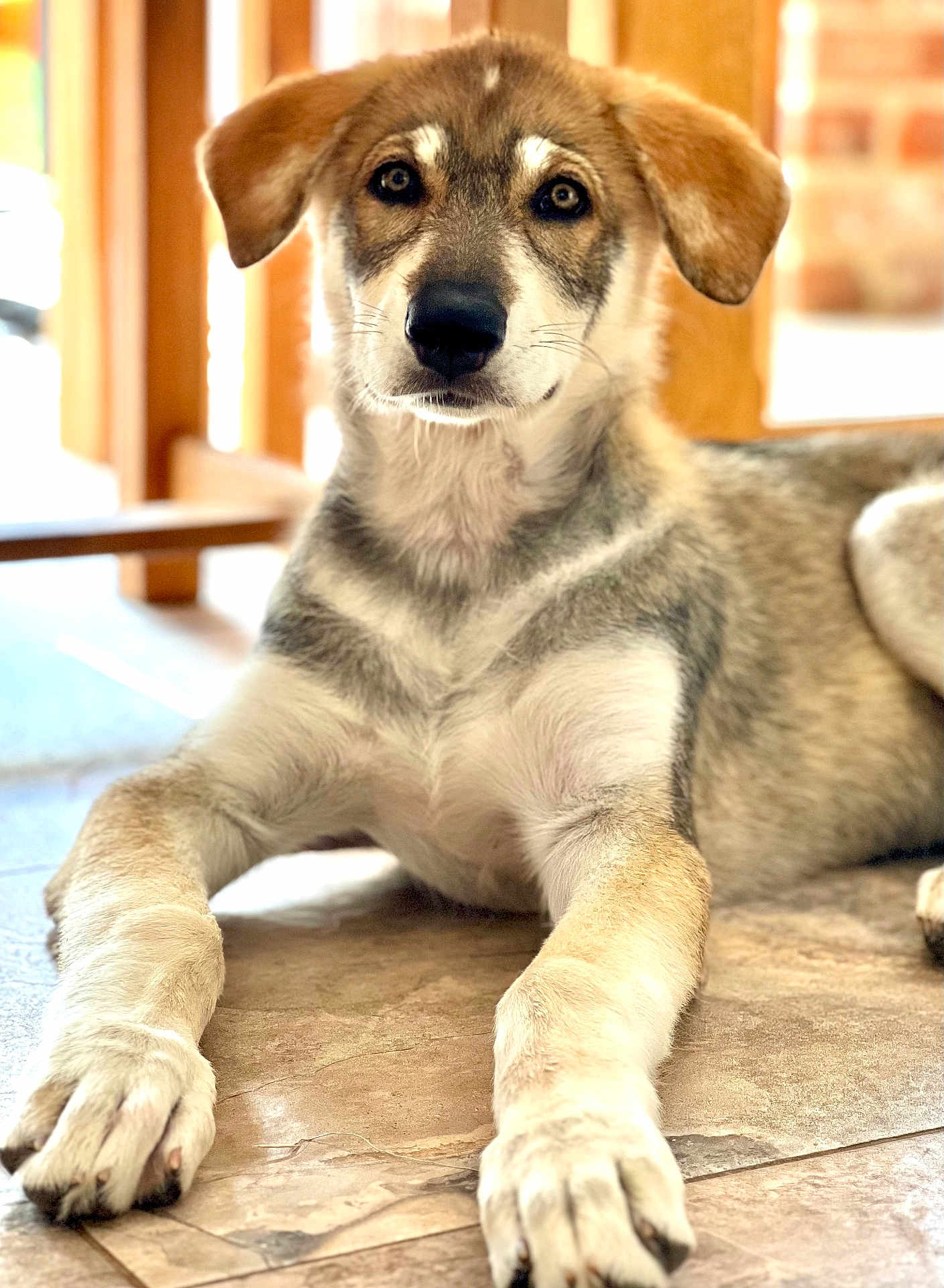 Asha
