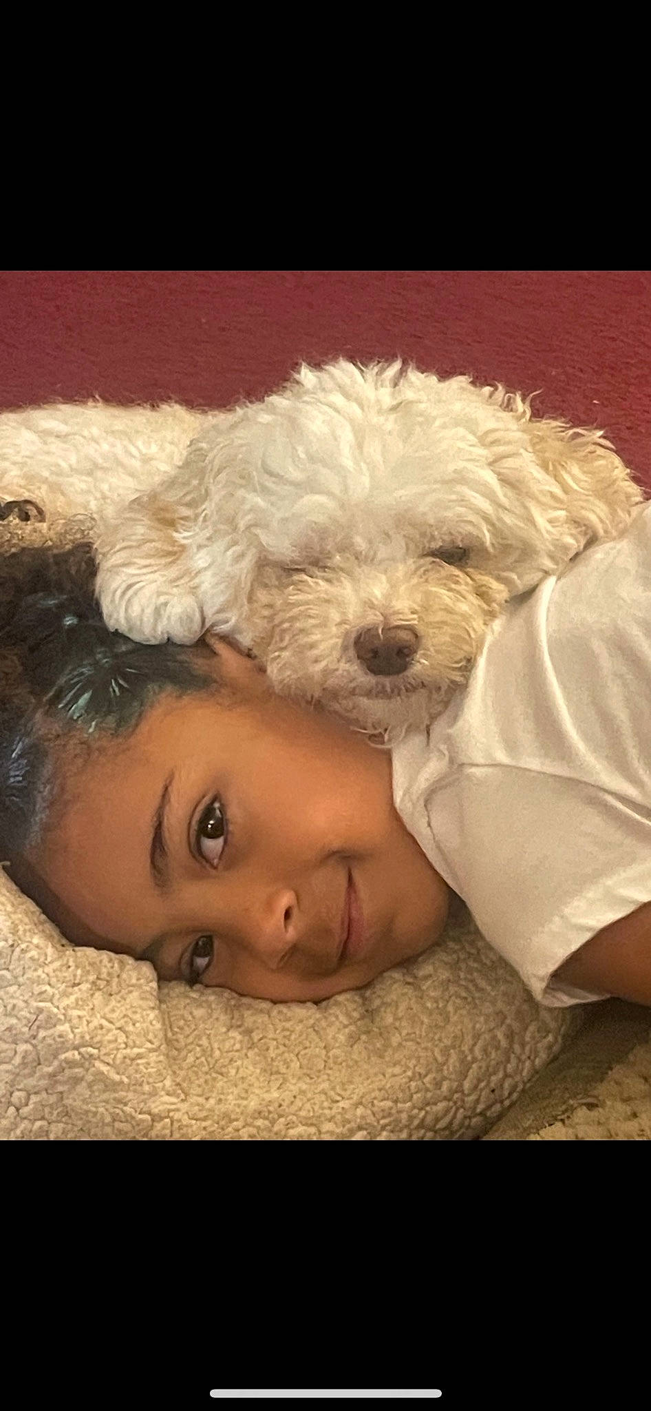 Charity joined the competition — help win amazing prizes! canidae, carnivore, comfort, companion_dog, dog, dog_breed, fur, gesture, glasses, happy, labradoodle, love, poodle, puppy_love, smile, sporting_group, sunglasses, terrier, toddler, toy_dog