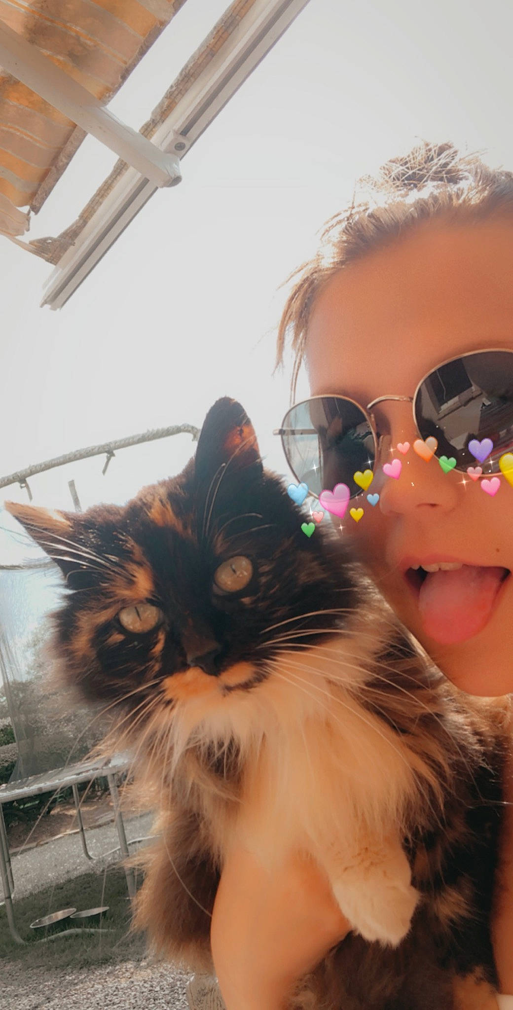 Love a rejoint le concours — aidez-le/la à gagner de superbes lots ! beauty, carnivore, cat, cool, eye, eyelash, eyewear, felidae, glasses, goggles, happy, head, iris, nose, plant, small_to_medium_sized_cats, sunglasses, sunlight, vision_care, whiskers