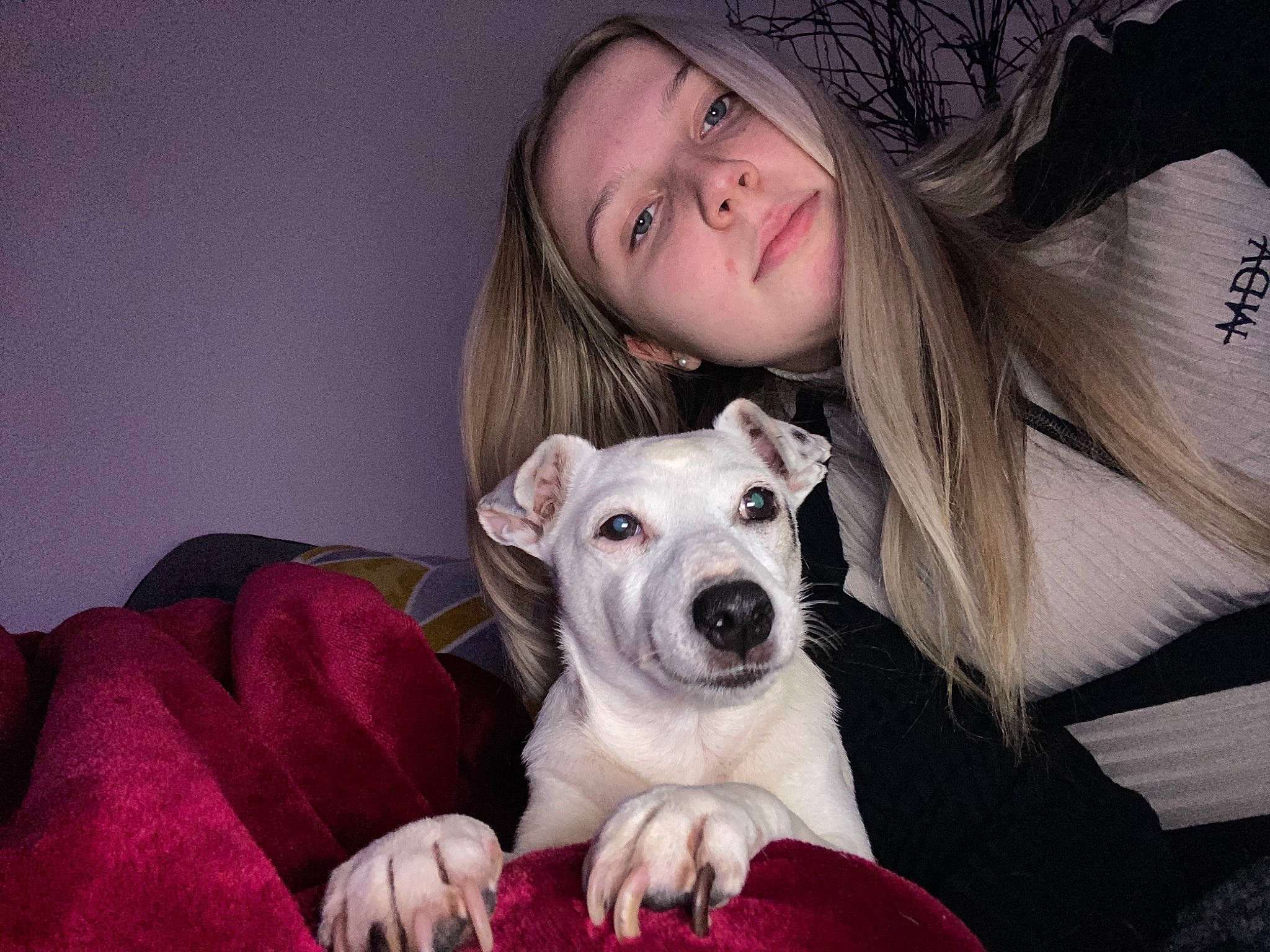 Dasher is registered to the contest to win money with this photo: carnivore, comfort, companion_dog, couch, dog, dog_breed, ear, eyelash, fawn, flash_photography, fur, happy, head, iris, organ, sitting, snout, sporting_group, sun_hat, whiskers