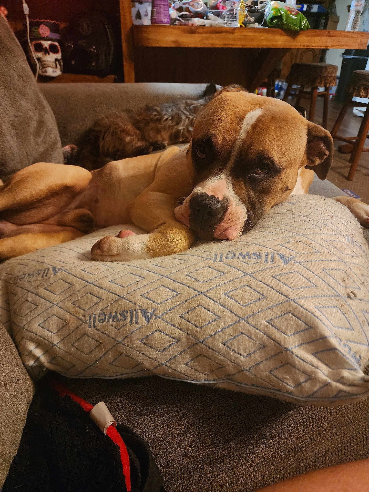 Titan