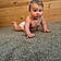 Maddox
