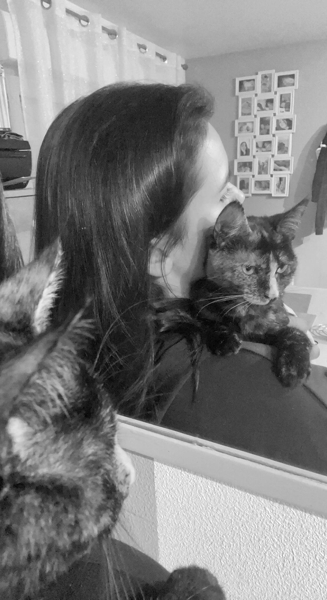 Athéna a rejoint le concours — aidez-le/la à gagner de superbes lots ! black, black_and_white, carnivore, cat, companion_dog, dog_breed, domestic_short_haired_cat, ear, felidae, fur, gesture, happy, monochrome, monochrome_photography, picture_frame, small_to_medium_sized_cats, snout, sporting_group, style, whiskers