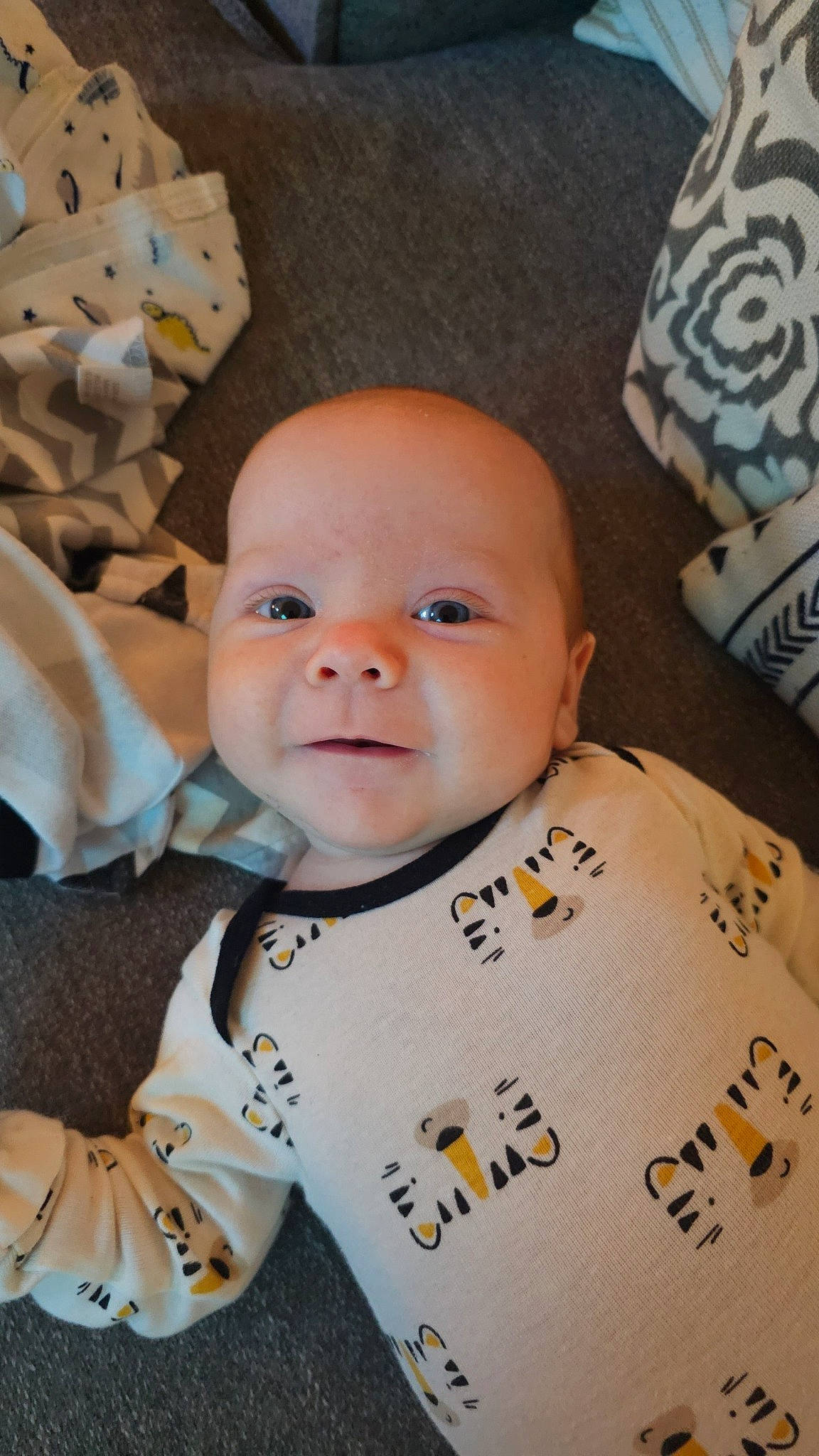 Harrison is registered to the contest to win money with this photo: baby, baby_toddler_clothing, cheek, child, chin, collar, comfort, eye, face, happy, head, person, sitting, skin, sleeve, smile, t_shirt, textile, toddler, white