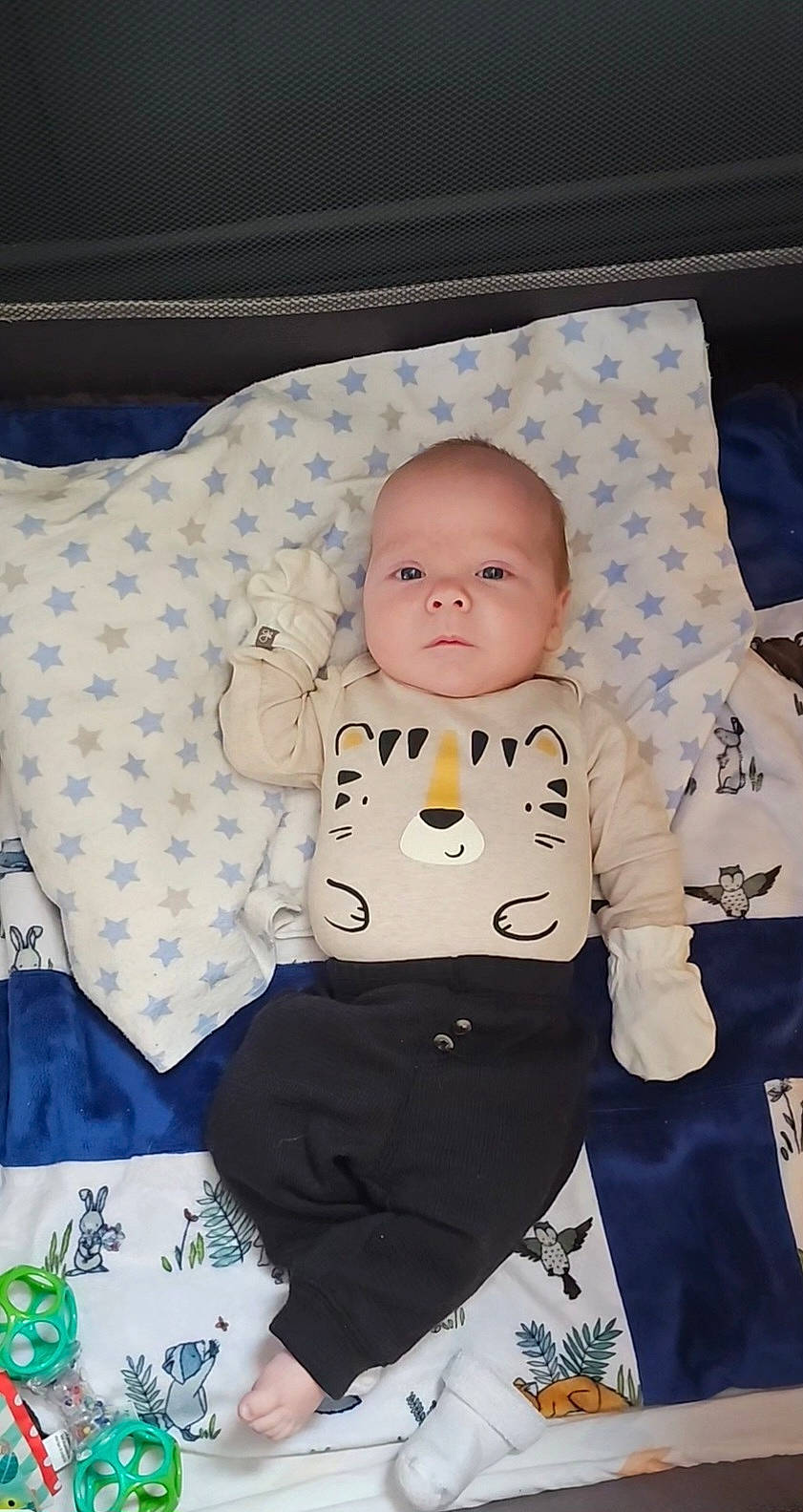 Harrison joined the competition — help win amazing prizes! art, baby, baby_products, baby_safety, baby_sleeping, baby_toddler_clothing, cheek, child, comfort, happy, head, linens, pattern, person, polka_dot, product, sitting, sleeve, t_shirt, textile