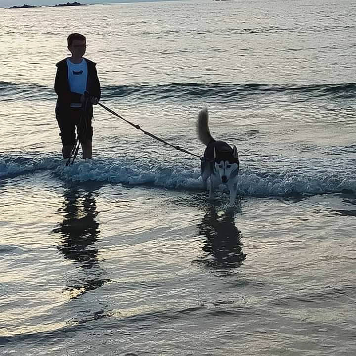 San a rejoint le concours — aidez-le/la à gagner de superbes lots ! beach, canidae, coast, dog_breed, dog_walking, evening, ocean, recreation, sea, sporting_group, tourism, vacation, water, wave, wind_wave