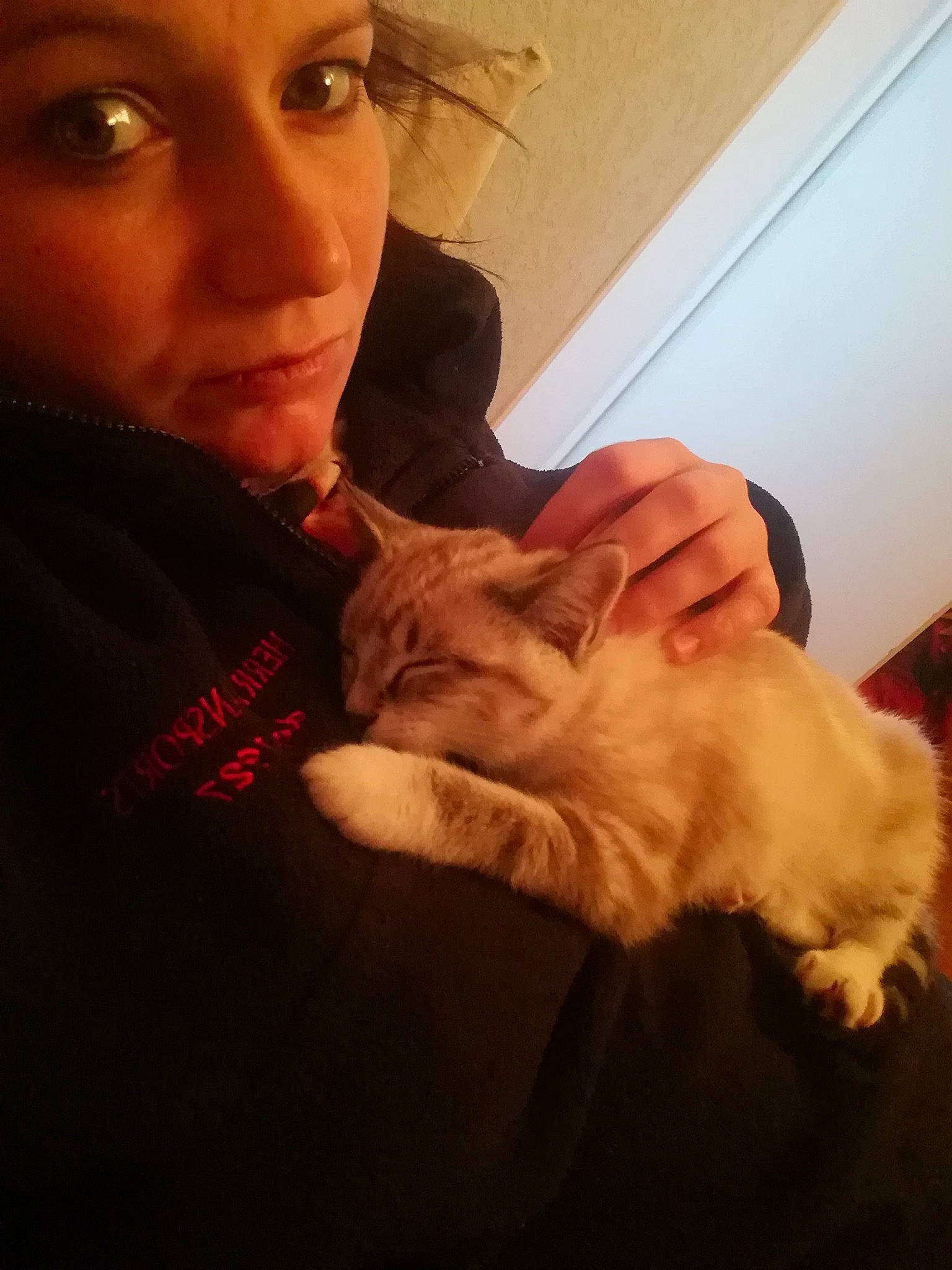 Pitchoune a rejoint le concours — aidez-le/la à gagner de superbes lots ! canidae, carnivore, cat, ear, fawn, felidae, fur, gesture, hand, long_hair, nose, photography, puppy, puppy_love, selfie, small_to_medium_sized_cats, whiskers