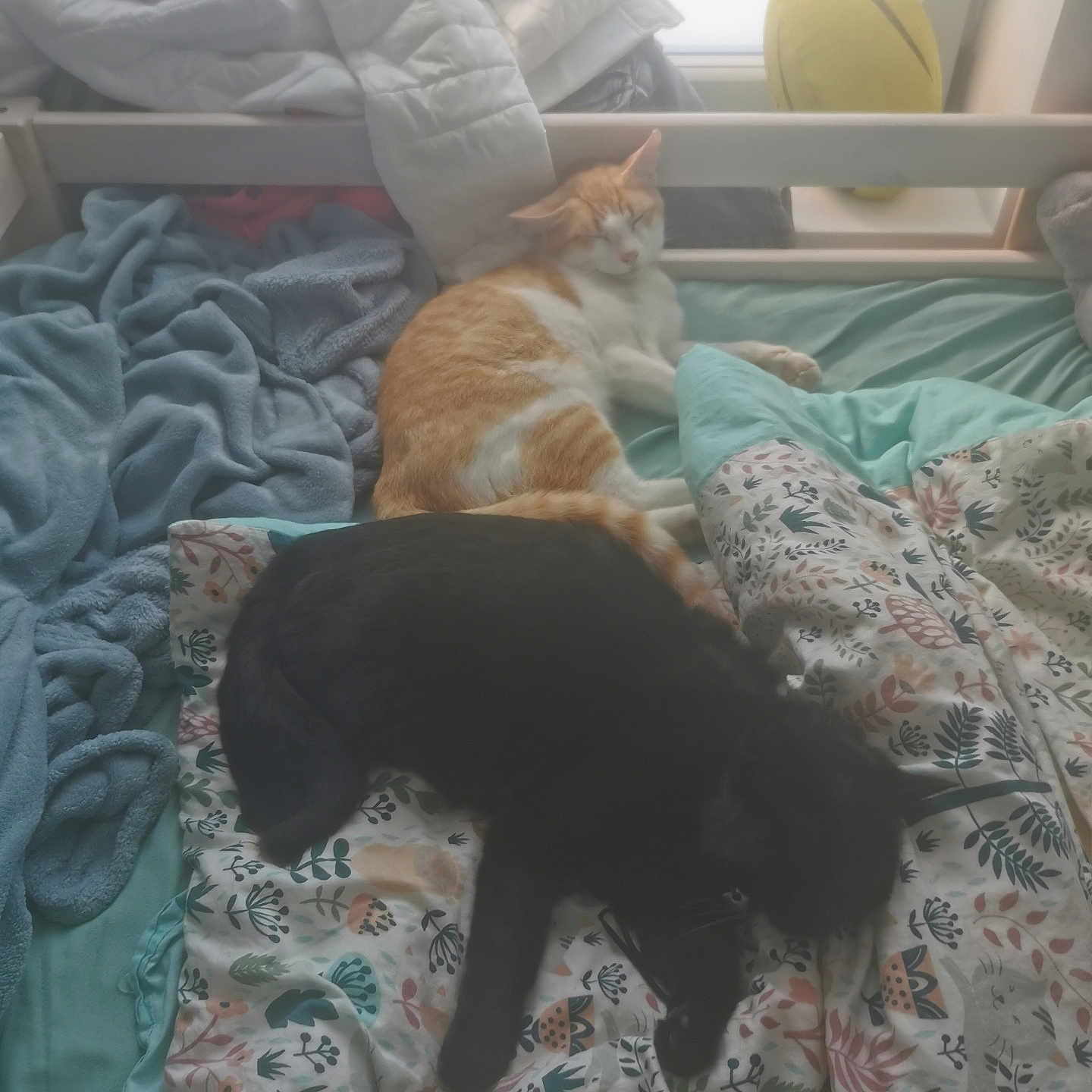 Mimine Et Craquotte