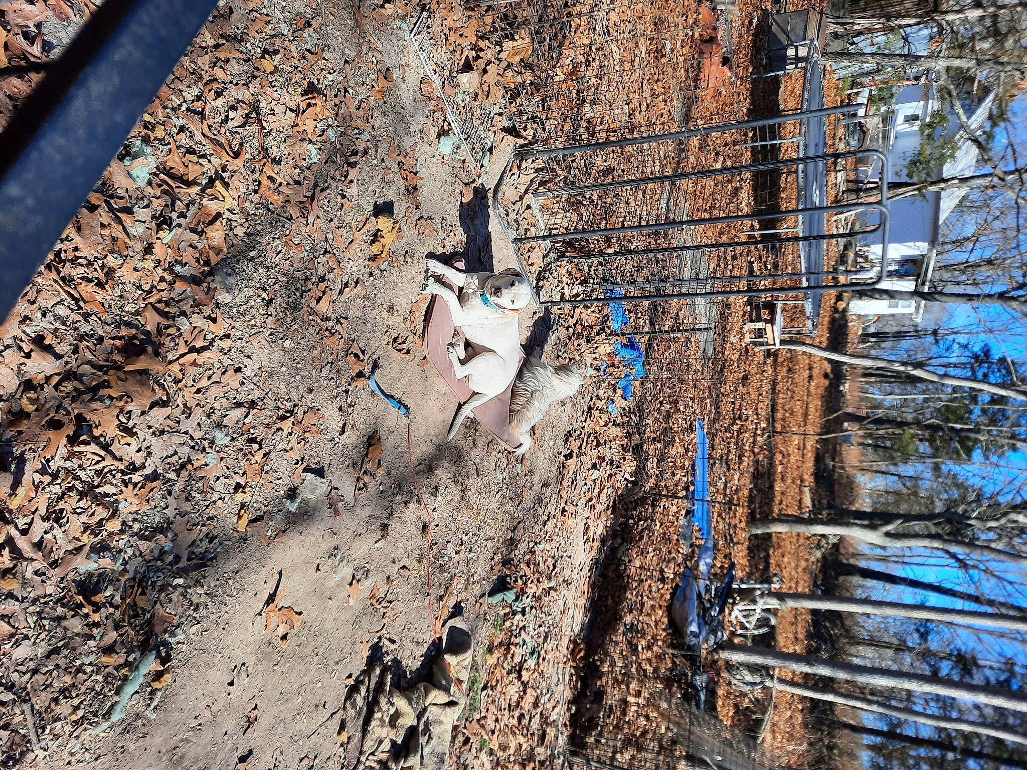 Green joined the competition — help win amazing prizes! asphalt, automotive_tire, chain_link_fencing, concrete, facade, landscape, metal, road_surface, rock, rubble, shadow, soil, tree, trunk, twig, winter, wood