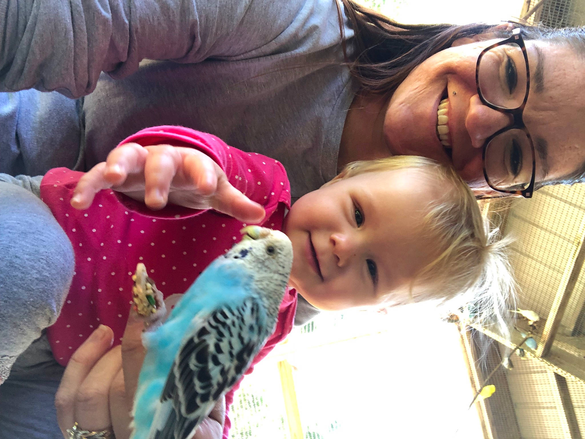 Helena is registered to the contest to win money with this photo: beak, bird, child, couch, eyewear, fun, glasses, grass, happy, joy, laugh, leisure, mammal, nail, parrot, pattern, person, skin, smile, toddler
