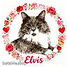 Elvis is registered to the contest to win money with this photo: watercolor, painting, cat, fluffy, gray, white, rose, flower, heart, wreath, art, illustration, portrait, decorative, cute, animal, pet, name_text, website_text, floral