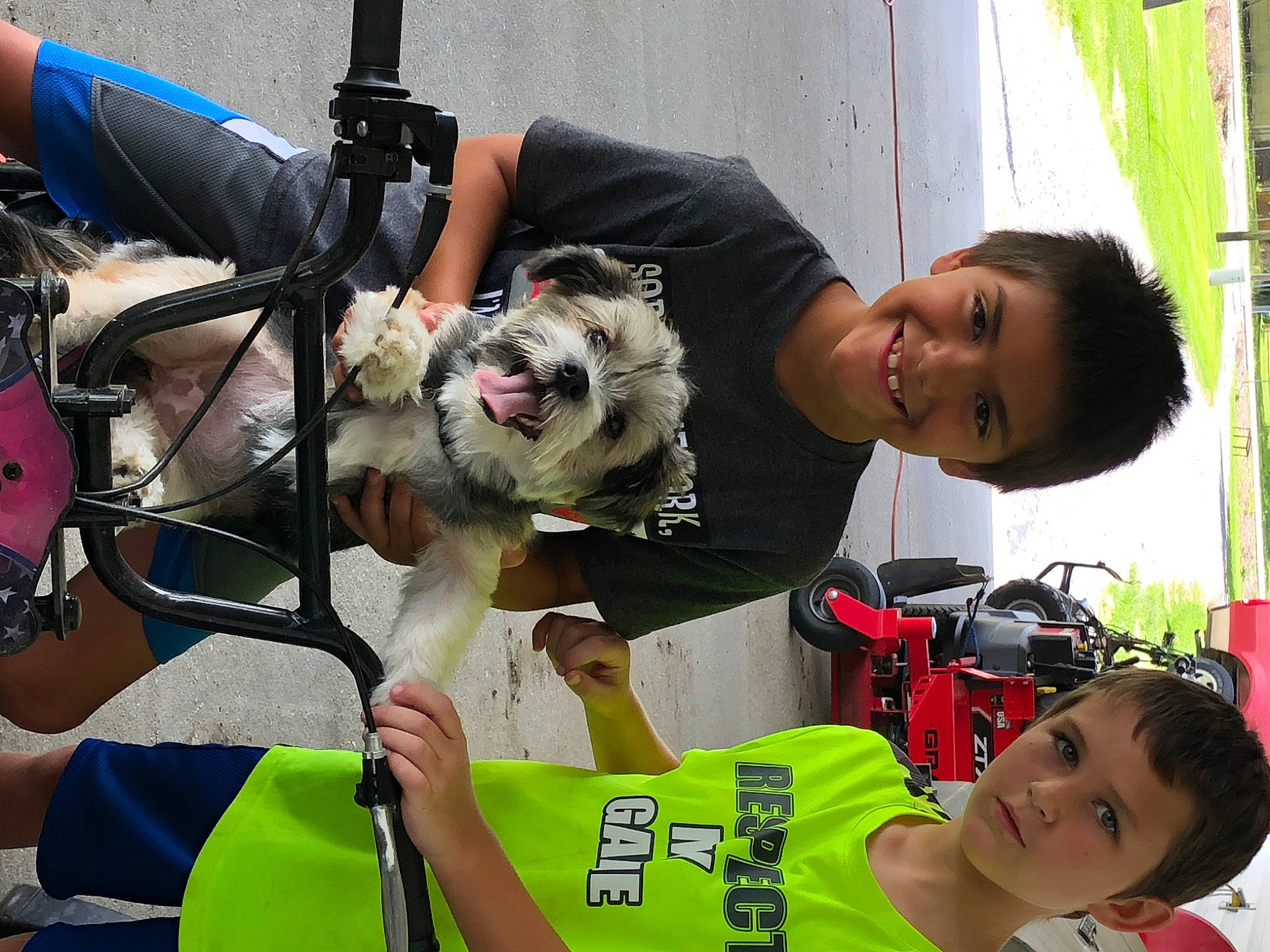 Oreo joined the competition — help win amazing prizes! canidae, carnivore, child, dog, leash, leisure, product, tourism, vehicle